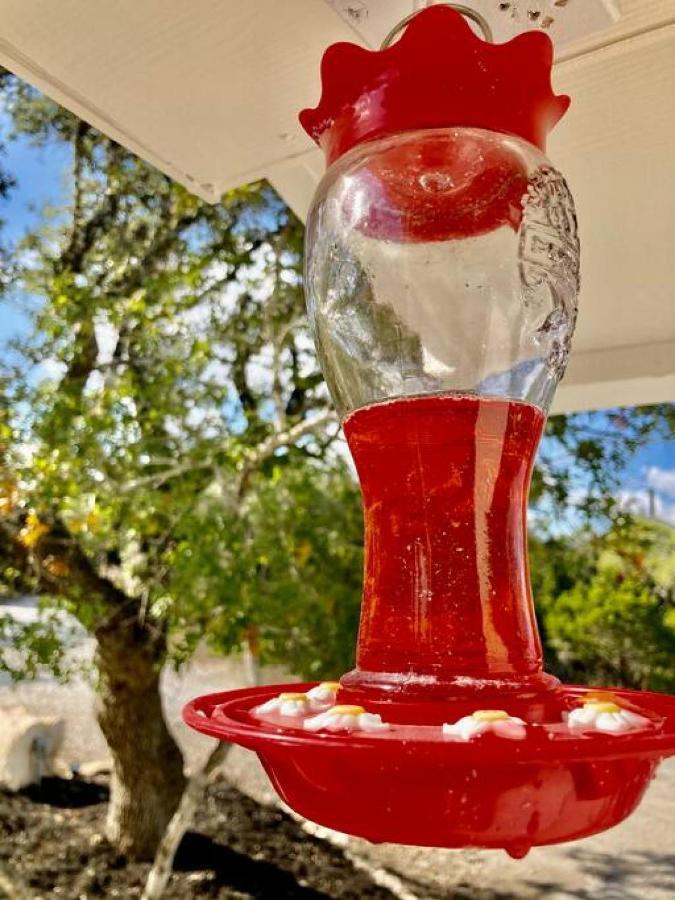 Вілла Hummingbird Haus - Hill Country Views On 20 Acres With Firepit Spring Branch Екстер'єр фото